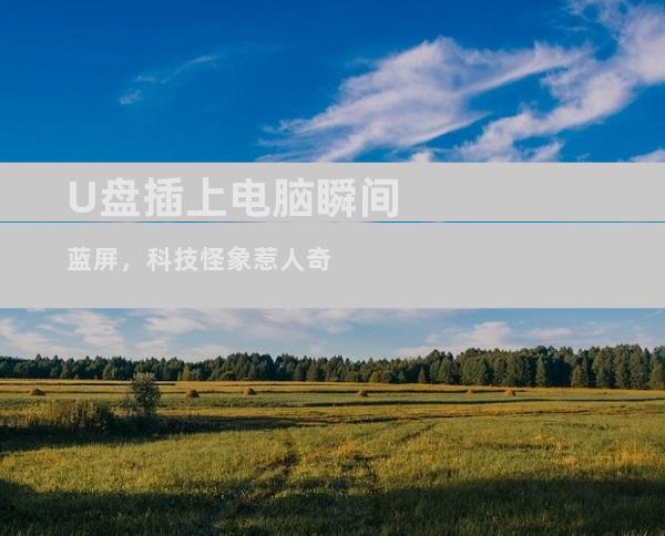U盘插上电脑瞬间蓝屏，科技怪象惹人奇
