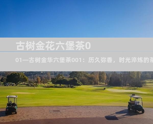 古树金花六堡茶001—古树金华六堡茶001：历久弥香，时光淬炼的茶中瑰宝