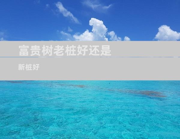 富贵树老桩好还是新桩好