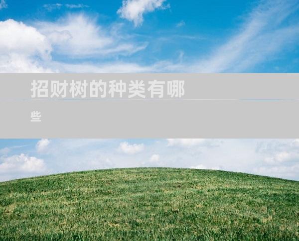 招财树的种类有哪些