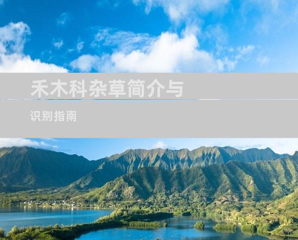 禾木科杂草简介与识别指南